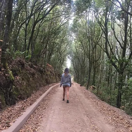 Casa Rural El Guanche * Erjos-El Tanque